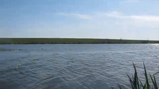 314зда Карасю - Выпуск 22 (Ловля карпа на маховую удочку) смотреть онлайн