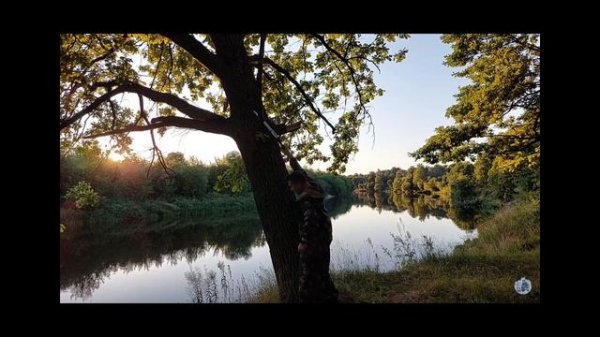 Пила для похода, бушкрафта. Складная пила Samurai 240 и Silky Bigboy 360 #silkybigboy360 #samurai24