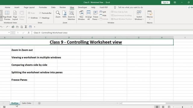 Class 9 - Controlling Worksheet View смотреть онлайн