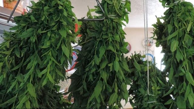 Путешествия Вокруг Света