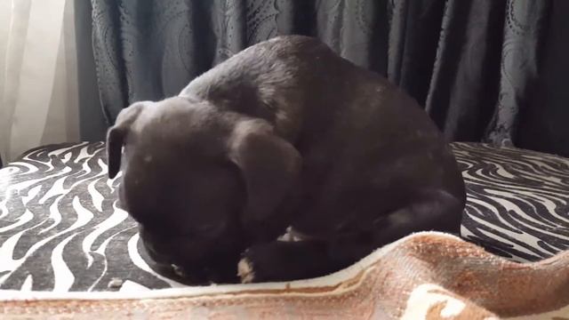 20170507 French 1 смотреть онлайн