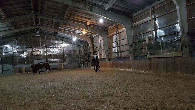 Серпантин на галопе. Первый урок