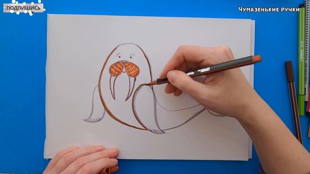 Рисуем моржа смотреть онлайн