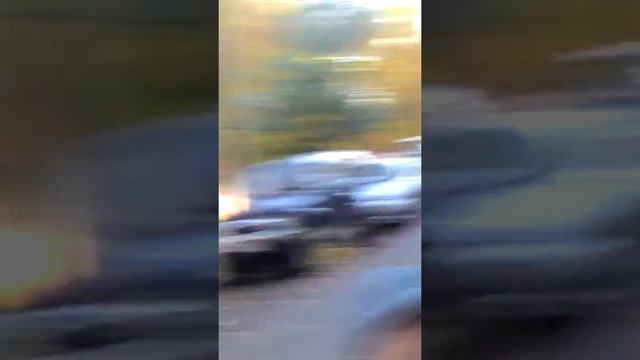 Колибри в России. Шок! смотреть онлайн