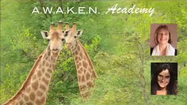 Awaken Academy Guest Series: Anna Breytenbach, Animal Communicator смотреть онлайн