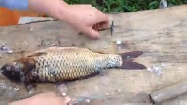 Творческий Путь к Искусству