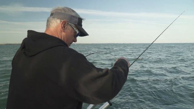 Spring Salmon on Lake Ontario смотреть онлайн