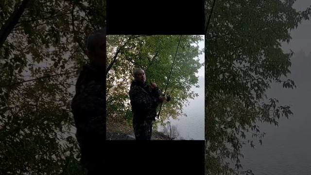 Обзор и отзыв на фидерное удилище волжанка эво про 25+. Пикер 2.7м.