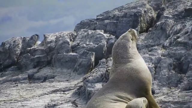 02 Ushuaia - Ушуайа смотреть онлайн