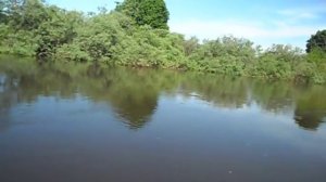 Лодочный мотор Тохатсу 6 л.с. 4т