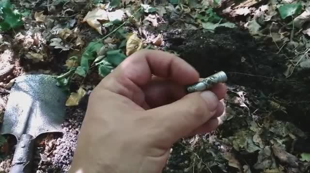 Коп 2020. Старый лес 2. Серебряный мундштук КАВКАЗЪ. Монеты. ACE250 (MD6250) с штатной катушкой.