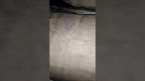 Ремонт выхлопной системы Subaru Forester