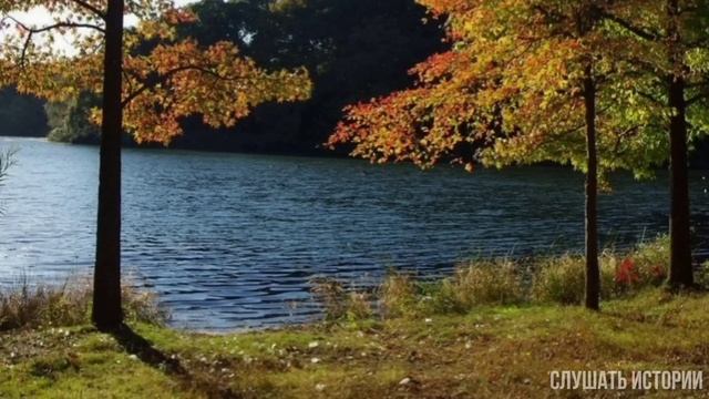 Бросили перед самой свадьбой. Мой мир остановился... смотреть онлайн