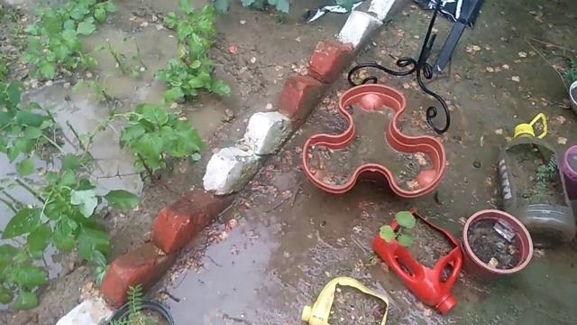 Lockdown Diary on a ☔Rainy Day смотреть онлайн