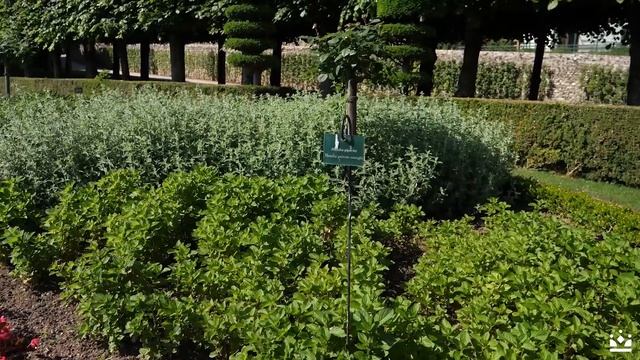 Le savoir-faire des jardiniers du Château de Villandry - My Loire Valley смотреть онлайн