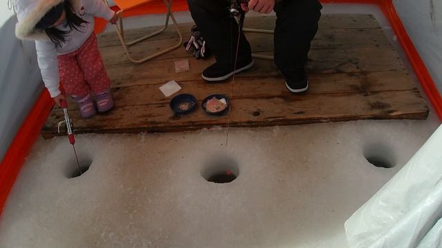 ICE LAND AKAN あいすランド阿寒| KUSHIRO LAKE AKAN| HOKKAIDO LIFE | JAPAN LIFE | TRAVEL HOKKAIDO смотреть онлайн