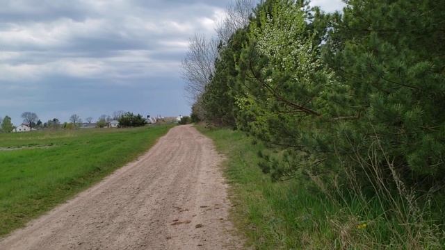 Мысли о доме.Харьков. смотреть онлайн