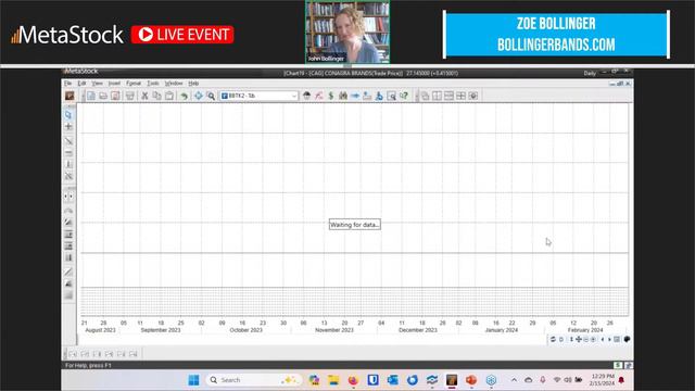 Finding Trading Opportunities featuring Zoë and John Bollinger смотреть онлайн