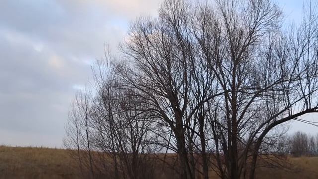 Ч. Айтматов жонундо Кененбайдын эскеруусу смотреть онлайн