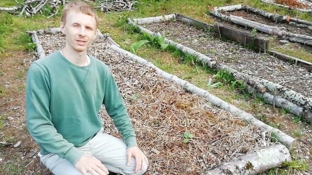 Мульчирование грядок. Освоение целины. Огород без перекопки. смотреть онлайн