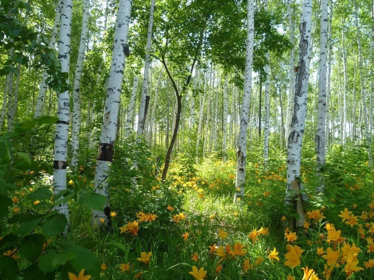 Олег Берег Сказки у Костра