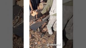 Дровокол Горыныч 6т