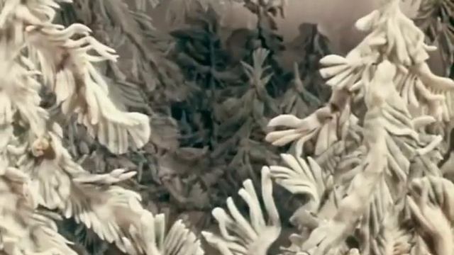 La Plage De Saint Tropez - Волк и семеро козлят