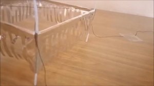 Эффект Бифельда-Брауна