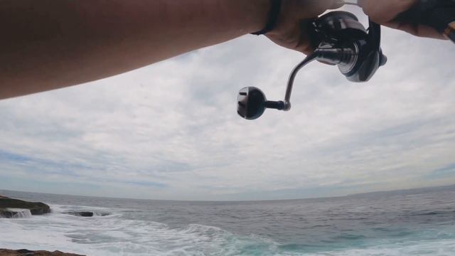 Sydney Rock fishing 🐟🐟Bonito/Mack Tuna 【Duo - Press Bait HD 125mm 42g】 смотреть онлайн