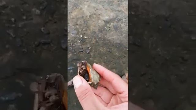 о морепродуктах и вкусном питании, на берегу чёрного моря)))