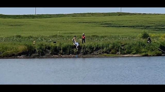 Рыбалка!Так женщины таскают карпов в Ульяновске! смотреть онлайн
