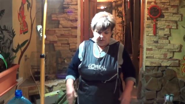 Суккуленты .КАК ВЫРАЩИВАТЬ СУККУЛЕНТЫ (Толстянка Каланхое, Эхверия И ПРОЧИЕ) смотреть онлайн