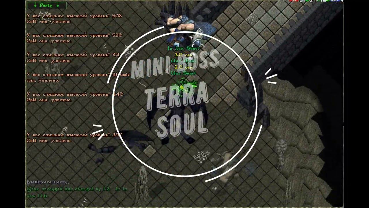 Ultima Online Eternium shard Mini boss fast run смотреть онлайн