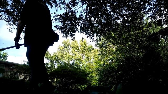 Stihl fs 56rc weed eater and cub cadet lawn mower cutting tall grass, 11th lawn cutting video 2018 смотреть онлайн