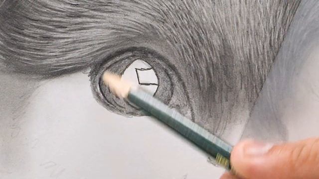 How to Draw Realistic Cat for BEGINNERS | Fur Drawing Technique смотреть онлайн