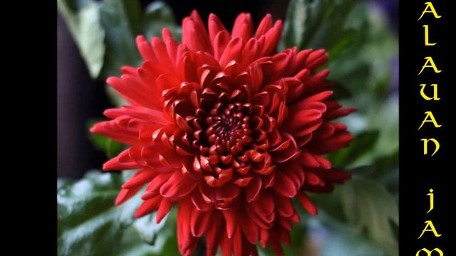 WAY WAY: SICHAWASEWO смотреть онлайн