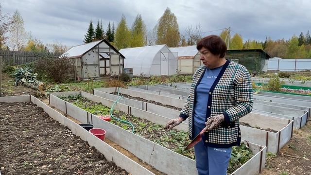 ОСЕННЯЯ ПОСАДКА ЧЕСНОКА смотреть онлайн