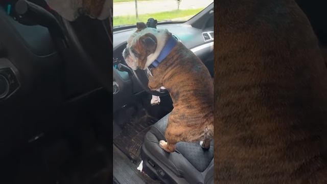 когда купил новую машину