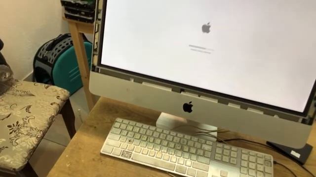 Стрим 15.01.2020 установка macOS High Sierra iMac 21 Mid 2011 смотреть онлайн