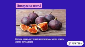 Окружающий мир 4 класс "У черного моря"