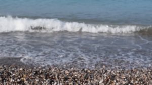 Отзыв об отеле Gypsophila Holiday Village Турция