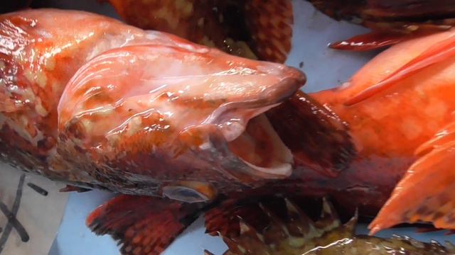 鮮度が高い魚は、口とエラブタを張っています。もちろんこの時はエラも真っ赤で、目も欄としています。魚の鮮度の高さの見分け方紹介。 смотреть онлайн