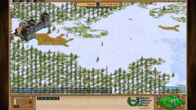 AoC S41, D1, R6 - Stsn vs. LyF, Game 2 - Age of Empires II: The Conquerors Clan League Season 41 смотреть онлайн