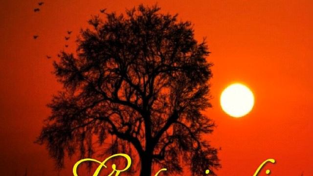 Toto  Cutugno - L'  Ete Indien  (Africa)