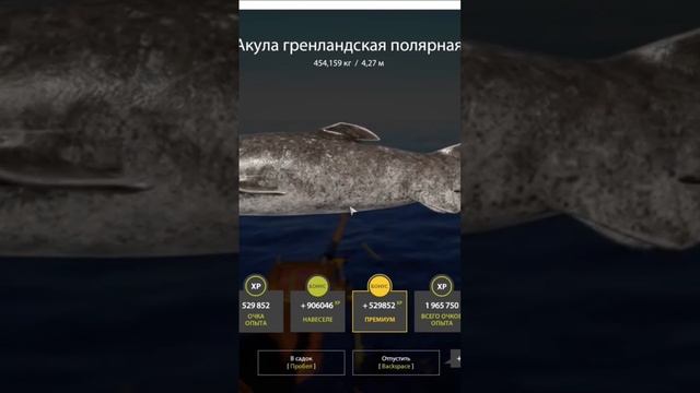 русская рыбалка 4 Акула Гренландская полярная 454+ #подпишись #лайк #рыбалка #fishing смотреть онлайн