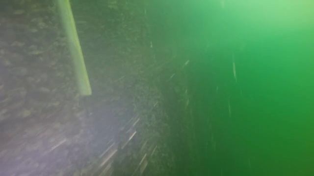 Расположение элементов протекторной защиты смотреть онлайн