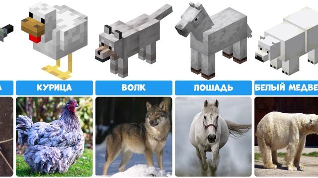 Сравнение: Животные в Майнкрафт и в реальной жизни смотреть онлайн