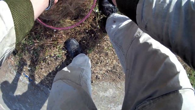 Ловля ЛЕЩА на САЛО. Рыбалка на Александровском водохранилище с ночёвкой. Ловля леща на фидер и донк смотреть онлайн