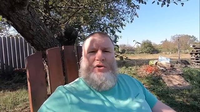 Вложик. Что с этими людьми?