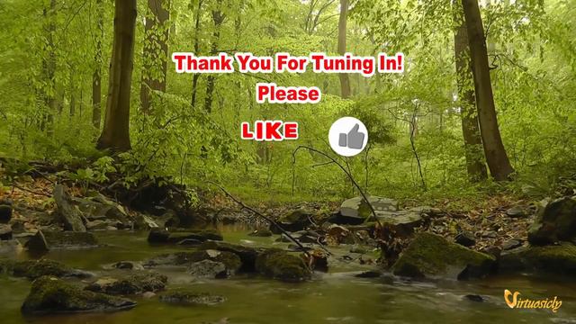 Johannes Brahms' Piano Sonata No. 1 - A Portal to Romantic Grandeur смотреть онлайн